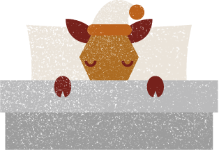 BIG BED ROOM ICON