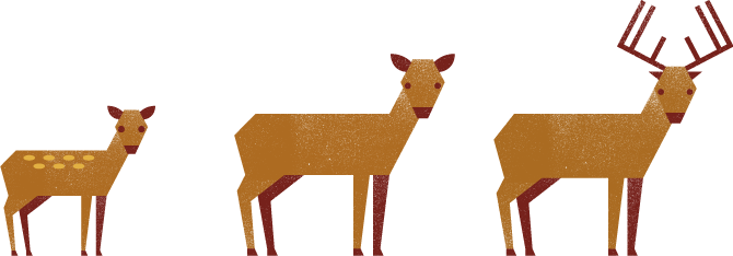FOOTER ICON