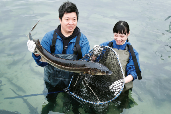 安曇野のチョウザメ養殖場を視察の画像