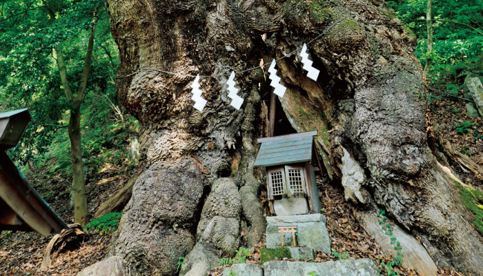 葛見神社