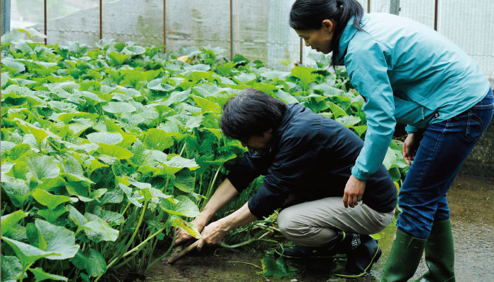 滝尻わさび園