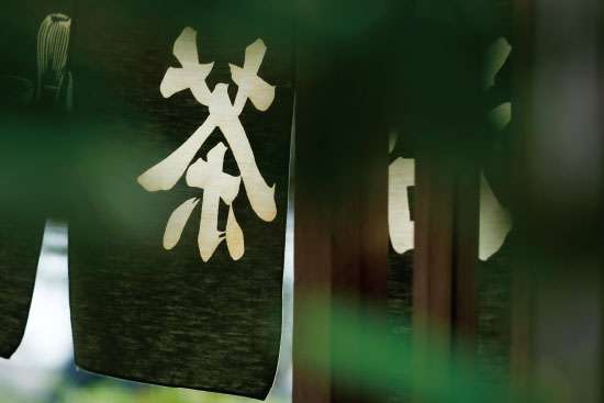 宇治茶を知る