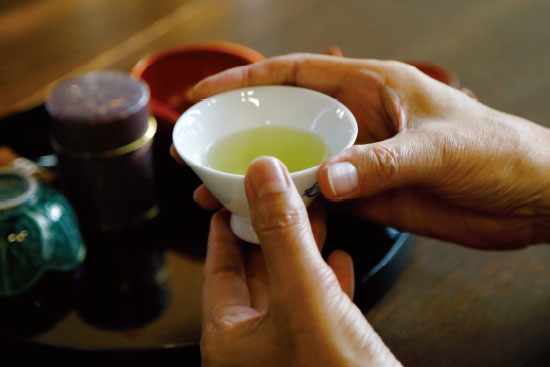 宇治茶を知る