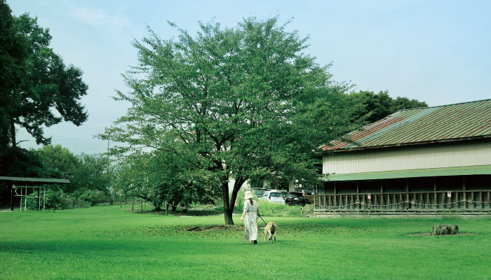 那須千本松牧場 Nasu Senbonmatsu Farm