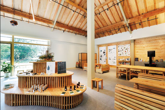TENOHA TATESHINA Renewal.#1